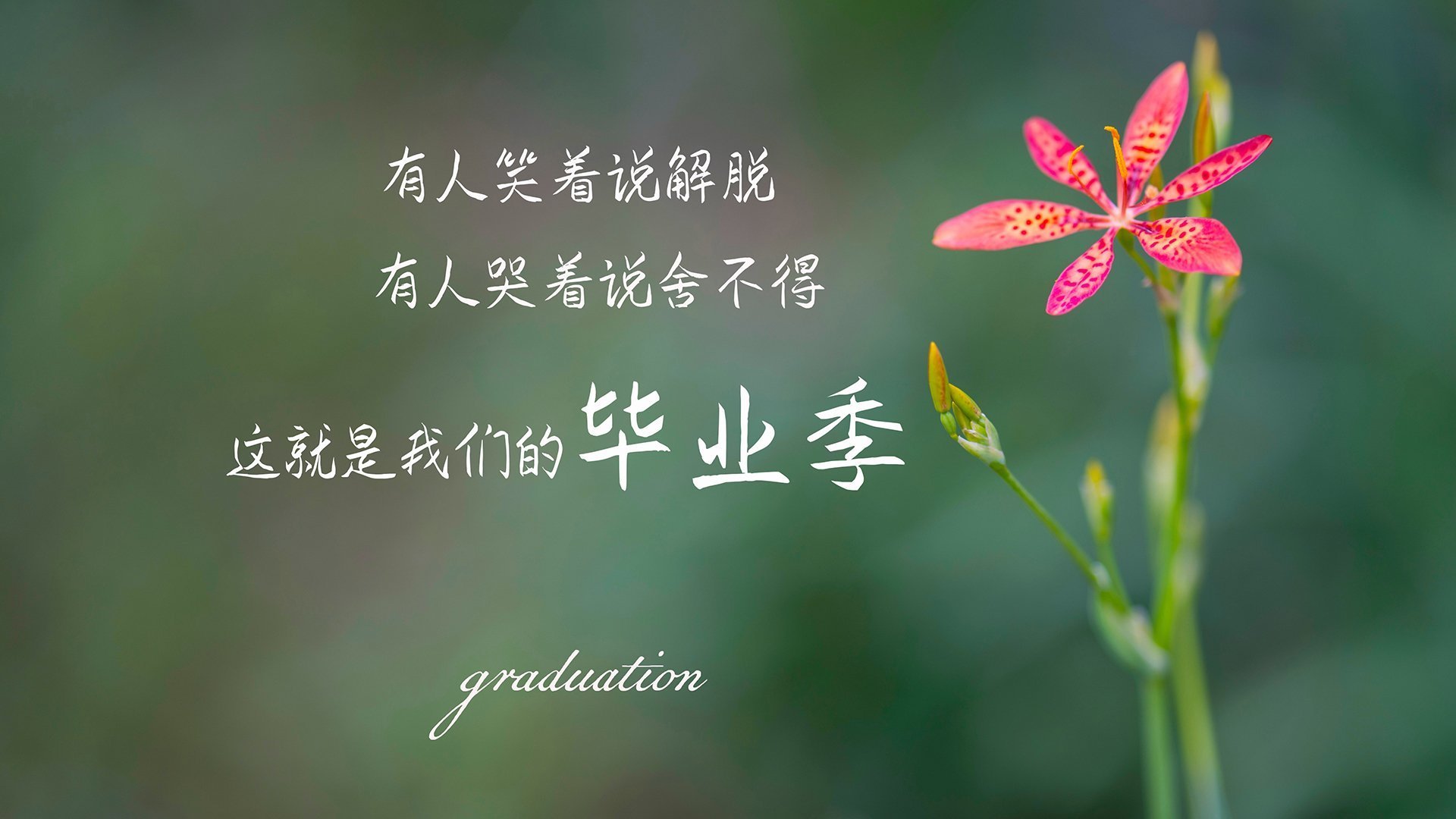 切尔西女足客场逆转曼联女足，切尔西女足客场逆转曼联女足队员
