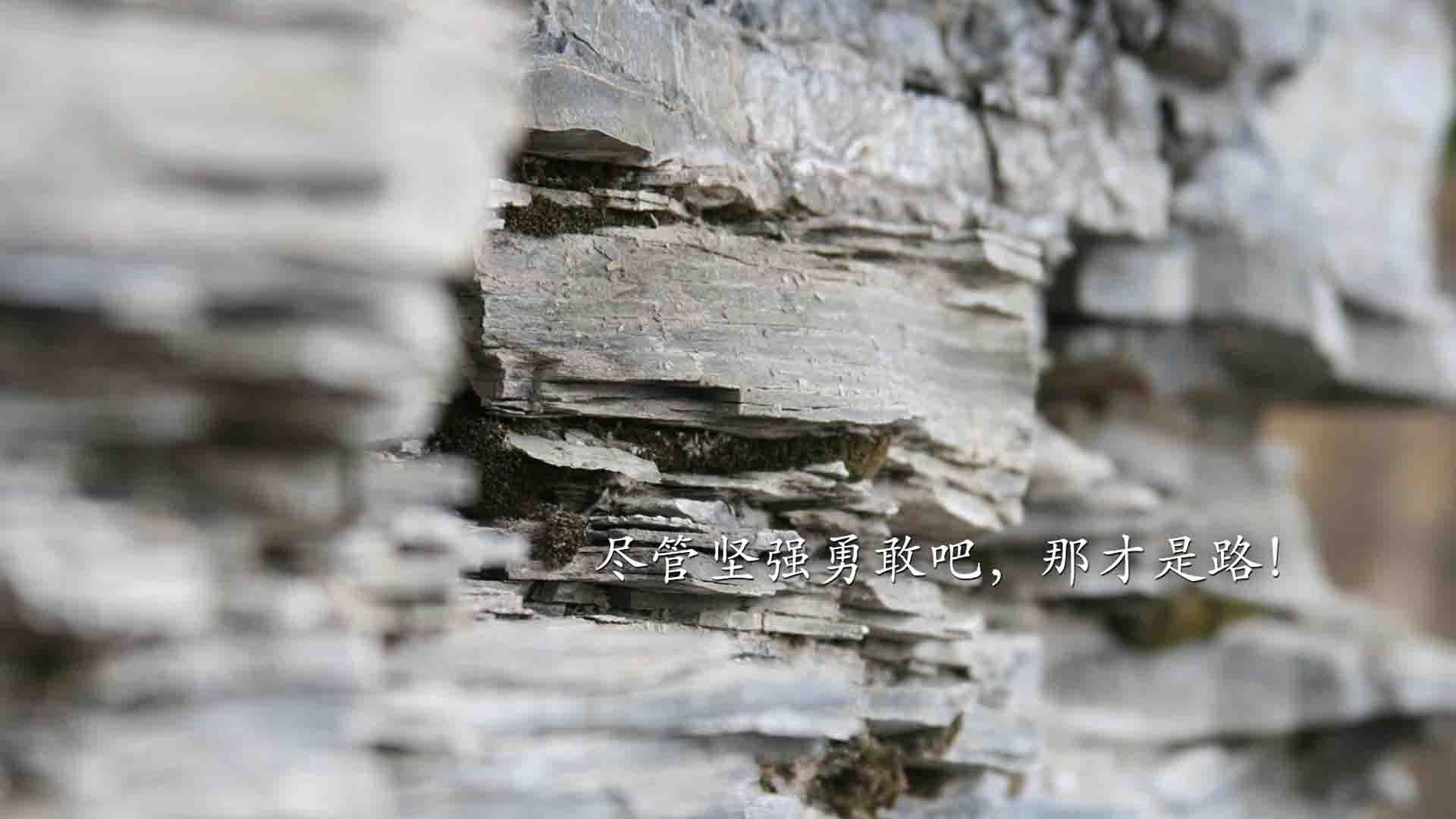 Jiuyou-达西尔瓦成为球队主帅，施展战术一改冷门，西藏队达尔西