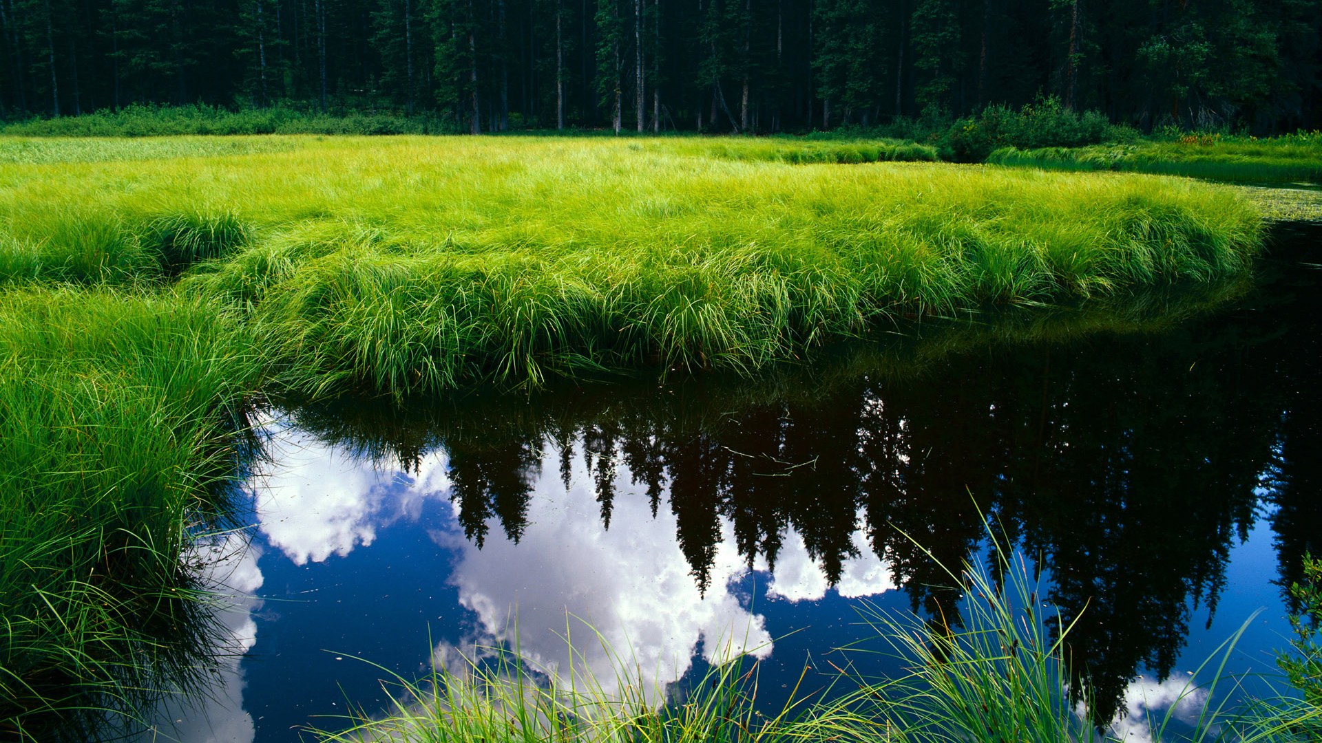 新加坡队赛制解析:团体赛制中的灵活战术与队员配置,新加坡队第几个出场