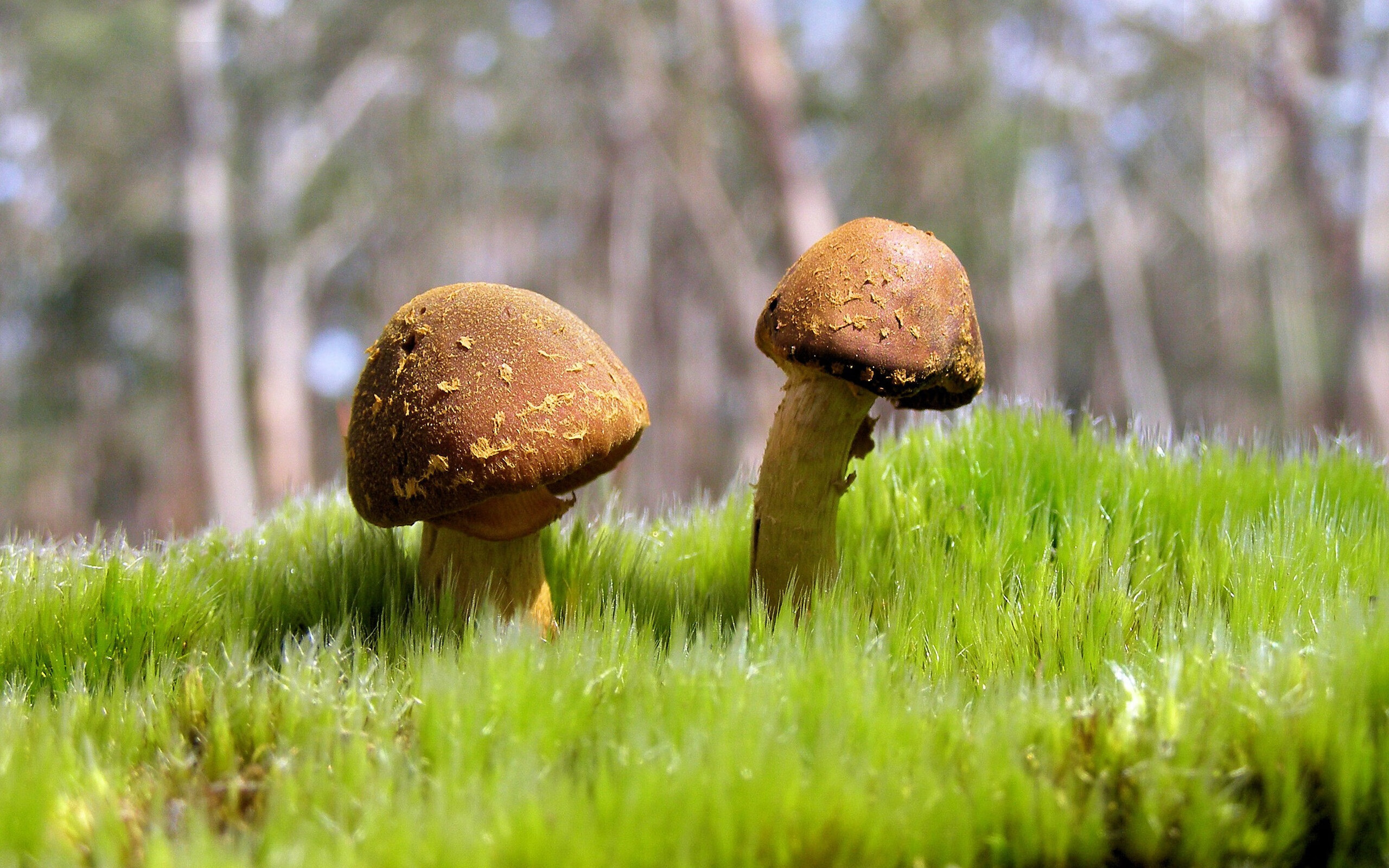 -速度爆发点与划频关系深度分析，什么是速度和爆发力