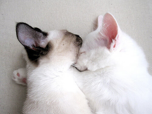 九游娱乐APP-中国足球国家队阵容深度得到有效加强，中国足球国家队队