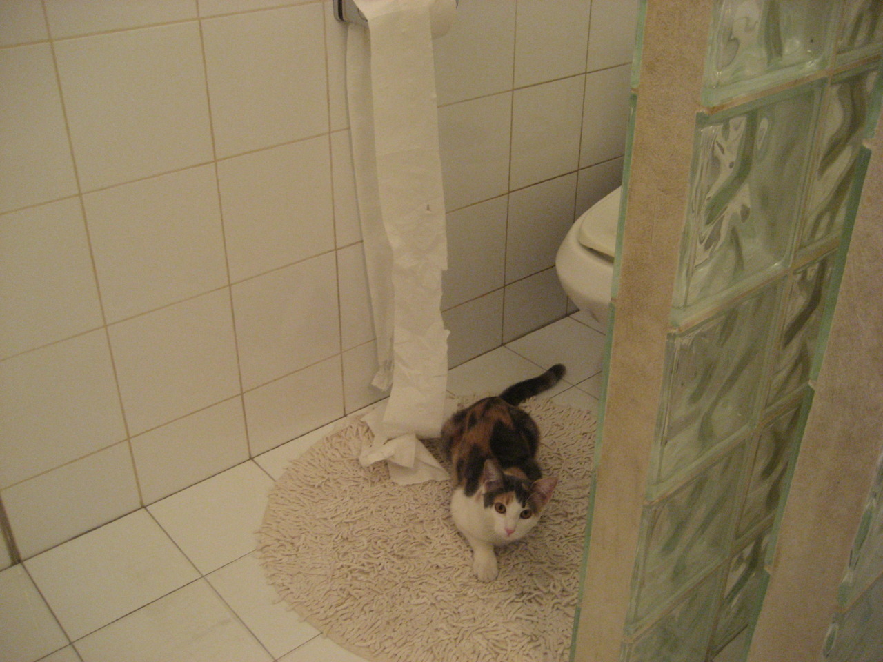 掘金主帅与球员一对一谈心促进相互信任，掘金对队员