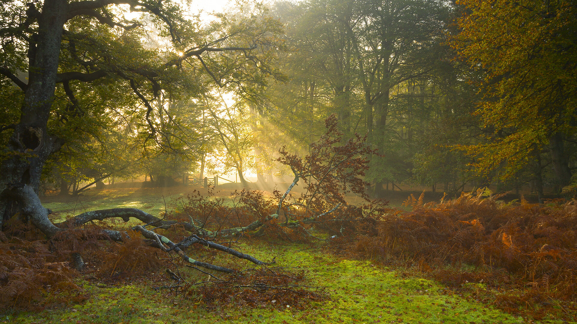 九游sports-篮球教研组成立推进教学改革完善基础训练课程体系，篮球教研活动